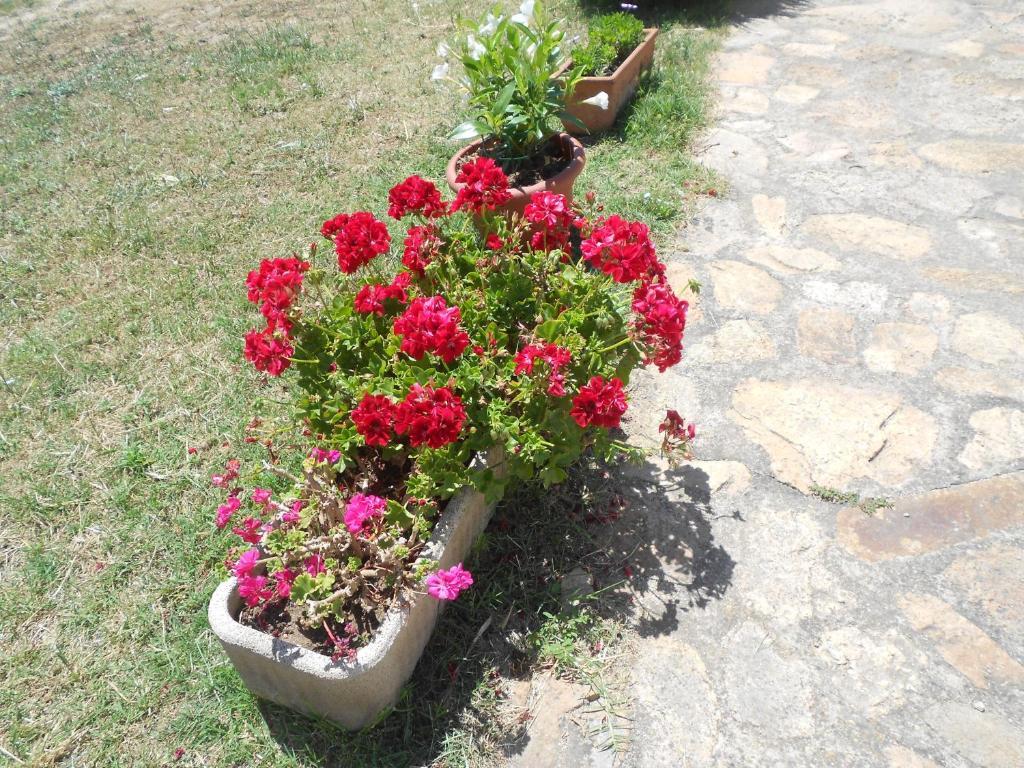 سانتا تيريزا غالّورا B&B L' Incantu المظهر الخارجي الصورة